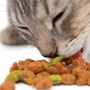 Servicios Veterinarios